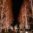 ■ぶらり京都〜京都名物のローム・クリスマスツリーが綺麗で素晴らしい！(^▽^)